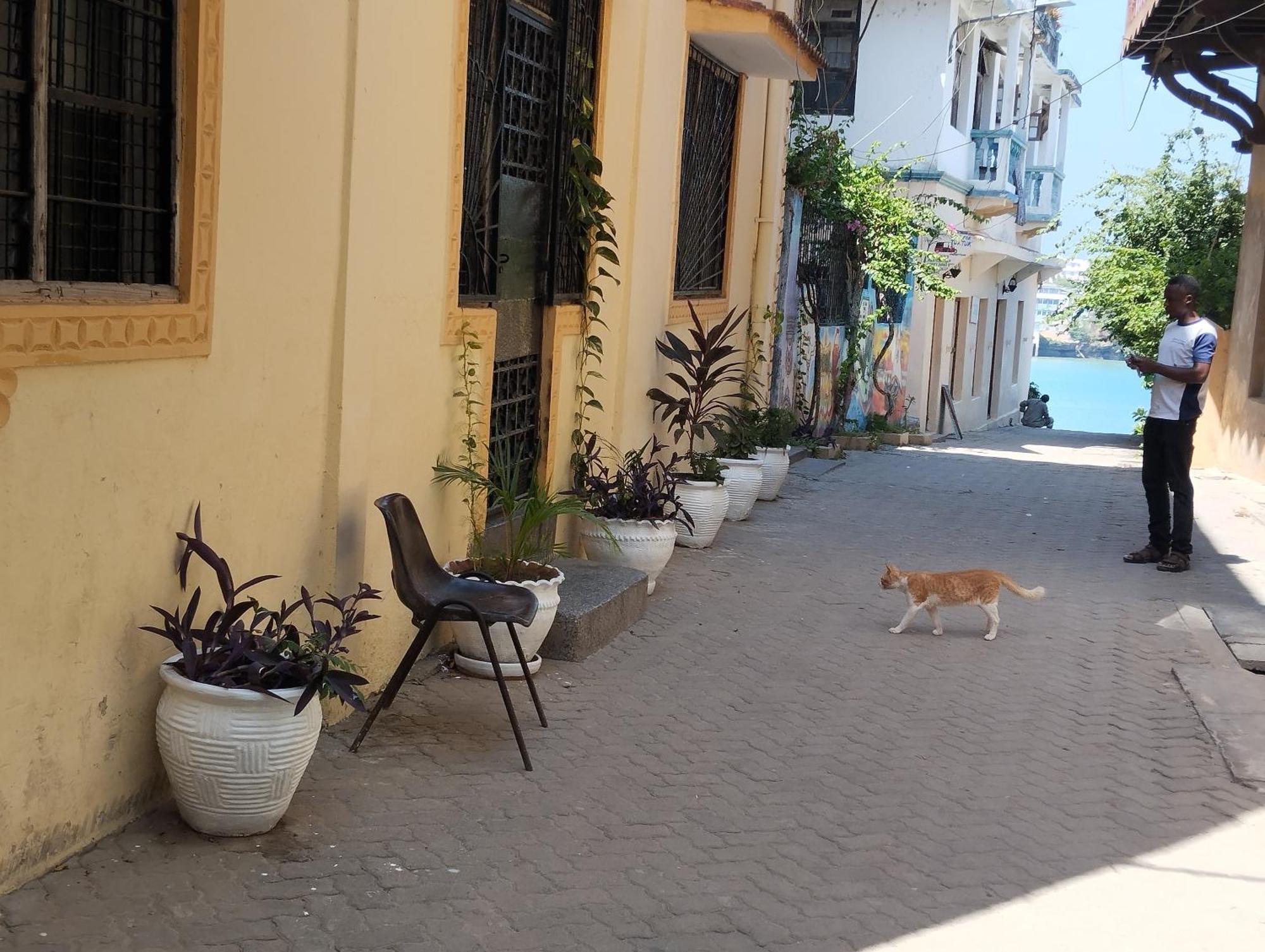 Mombasa Comfort House, Old Town Exteriér fotografie